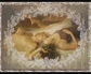 203836_51010_n_2