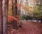 203976_29751_n_3