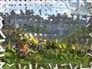 242765_56055_n_1
