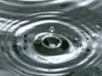 244026_24974_n_1