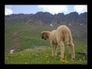 244076_37453_n_1