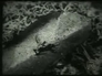 244956_78157_n_2