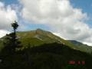 252605_63669_n_1
