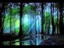 252892_60739_n_1