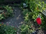 255775_95757_n_2
