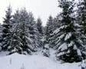 256638_73891_n_1