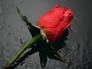 257084_83296_n_1