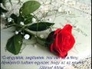 266209_60916_n_1