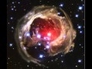 266506_77110_n_1