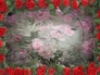 275486_63941_n_2