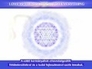 277008_49386_n_1