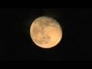 277694_62012_n_1