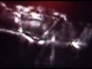 277997_27525_n_1