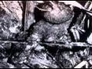 278908_33572_n_1