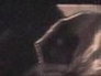 278971_81529_n_1