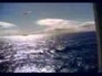 279509_95361_n_1