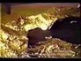 279918_75590_n_1