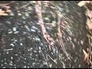 281469_19536_n_1
