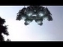 282575_22570_n_1