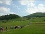 282799_25164_n_1