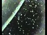 286607_35192_n_1