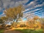 288295_97922_n_1