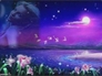 288416_12522_n_4