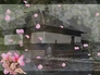 208183_98575_n_2