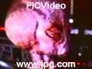 280327_90610_n_1