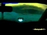 280879_96311_n_1