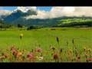291341_10254_n_1