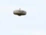 292639_51210_n_1