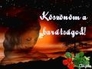 299339_99612_n_1