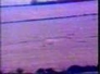 290766_40687_n_1