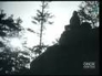 318030_11294_n_1