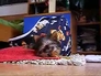310608_53353_n_4