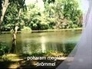 322695_70135_n_1