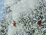 325346_86202_n_1
