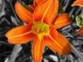 331578_72578_n_1