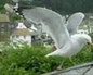 331804_46464_n_1