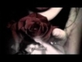 331940_99423_n_1