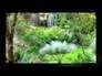 332115_37168_n_1