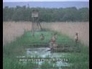 332135_90956_n_1