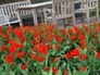 332408_20533_n_1