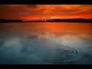 332423_29406_n_1