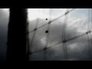 334063_22296_n_1