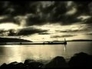334137_33568_n_1