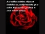 334946_14975_n_1