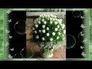 335368_25563_n_1