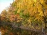 335850_83903_n_1